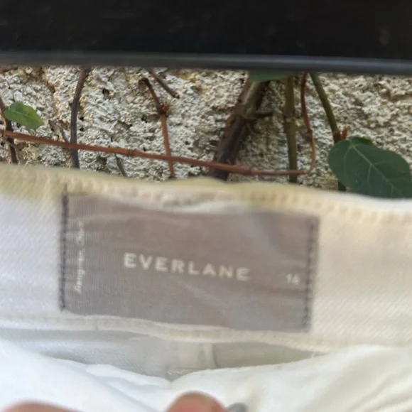 Everlane Straight Legs Jeans - Picture 5 of 7